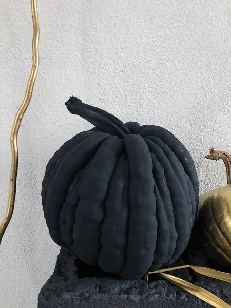 Beautiful composition of black and gold pumpkins
