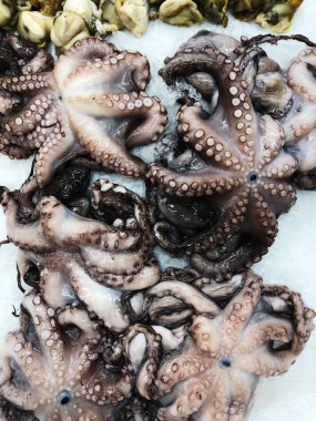 Piyasada buzda taze ahtaporlar