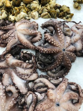 Piyasada buzda taze ahtaporlar