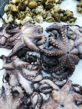 Piyasada buzda taze ahtaporlar