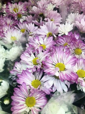 Piyasada pembe ve beyaz papatyalar  