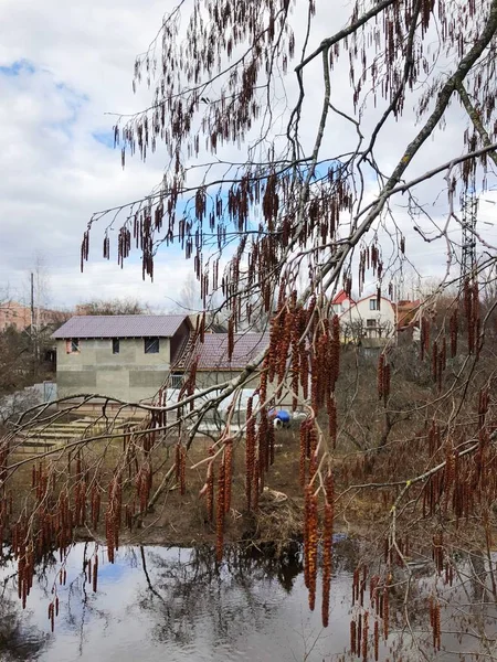 Beautiful landscape river and trees in the village