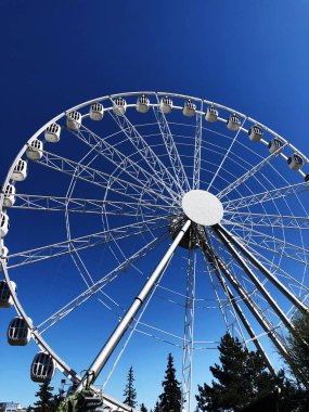 Park manzarasında beyaz dönme dolap.  