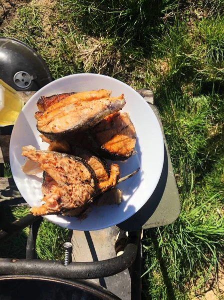 Fresh Salmon Plate Grill — Stock Photo, Image
