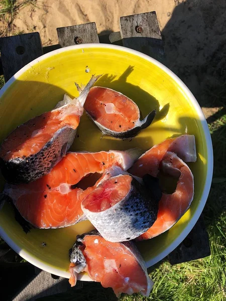 Fresh Salmon Plate Grill — Stock Photo, Image