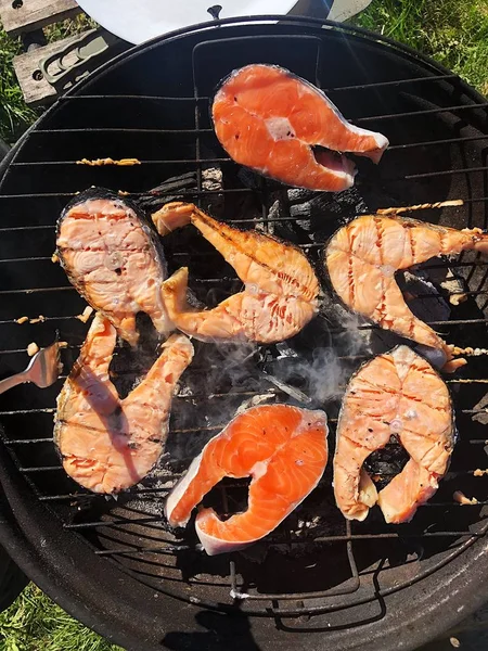 Färsk Lax Grillen Trädgården — Stockfoto