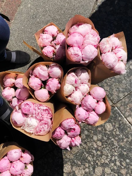 販売のための花束で美しいピンクのピオ — ストック写真