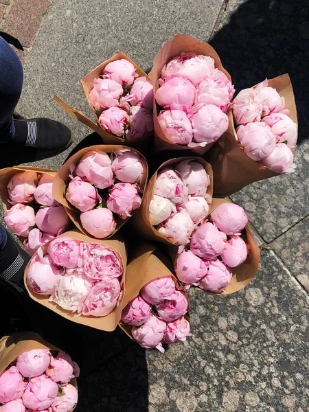 Bellissime Peonie Rosa Bouquet Vendita — Foto Stock