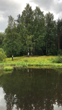 Güzel nehir manzara ve ormanda ağaçlar