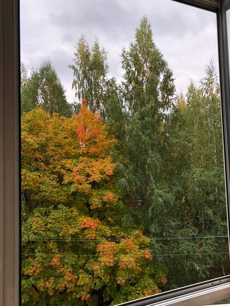 Красивый Осенний Пейзаж Окна — стоковое фото
