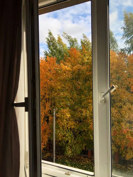 Schöne Herbstlandschaft Aus Dem Fenster — Stockfoto