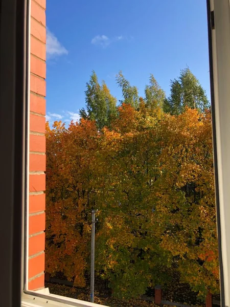 Piękny Jesienny Widok Krajobrazu Okna — Zdjęcie stockowe