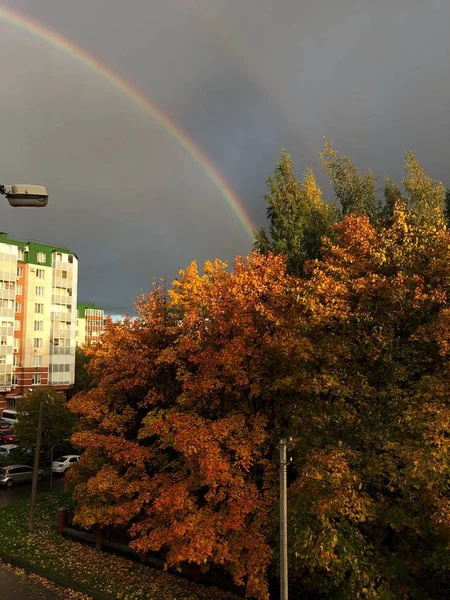 Hermoso Árbol Paisaje Otoñal Vista Arco Iris — Foto de Stock