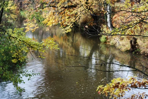 Hermoso Paisaje Del Parque Con Río Otoño — Foto de Stock