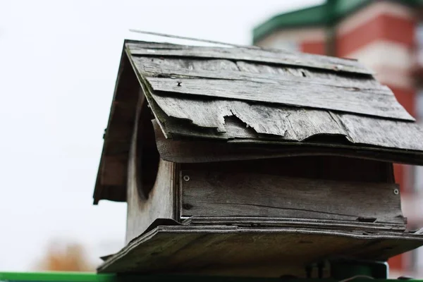 Vogelhäuschen Aus Holz Für Vögel Garten — Stockfoto