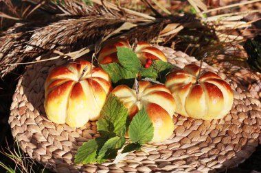 Doğada nefis taze ekmek ruloları