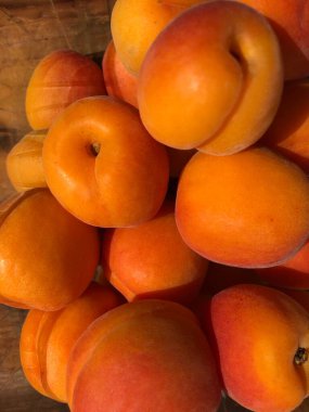 Masada nefis taze kayısılar var. 