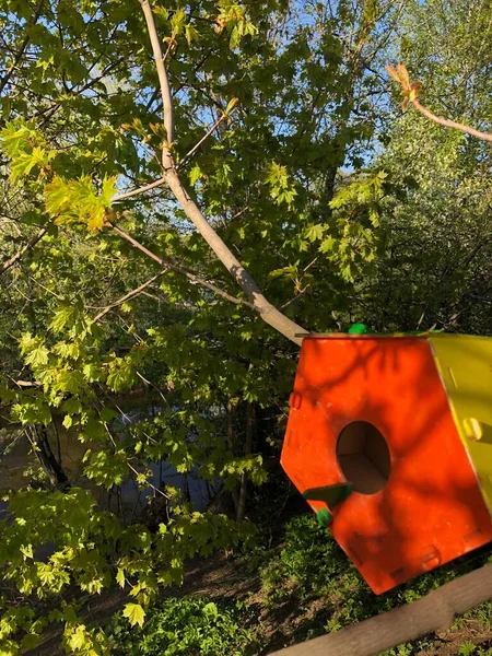 Leuchtend Orangefarbener Vogelfutterautomat Auf Einem Baum — Stockfoto