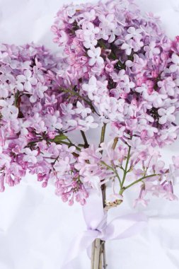 Beyaz kağıt üzerinde güzel bir demet leylak. 