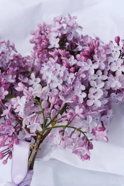 Bellissimo Bouquet Lilla Carta Bianca — Foto Stock