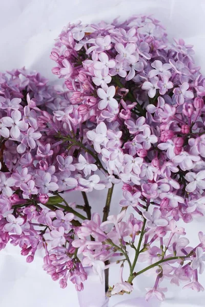 Beautiful Bouquet Lilac White Paper — Stock Photo, Image