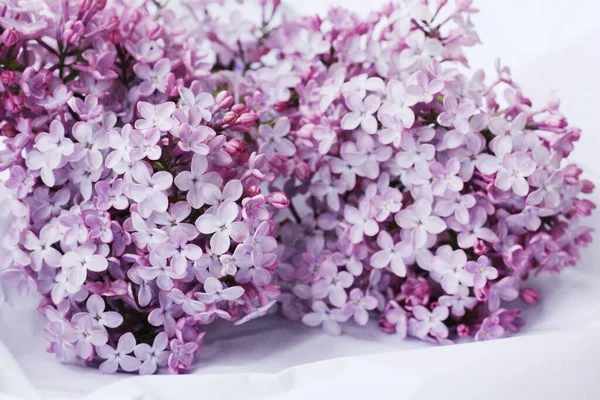 Beautiful Bouquet Lilac White Paper — Stock Photo, Image