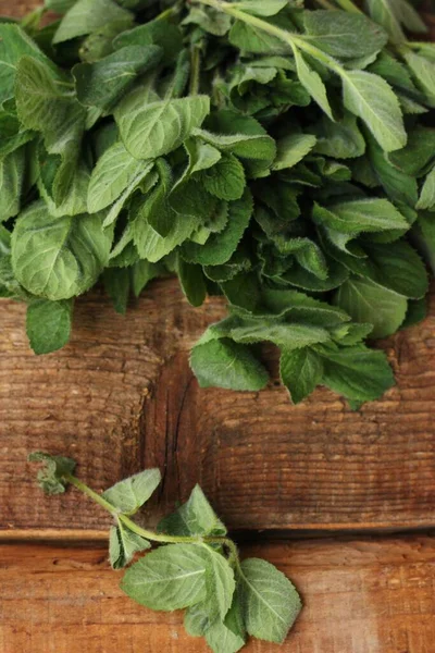 Menta Verde Fresca Sobre Una Mesa Madera — Foto de Stock