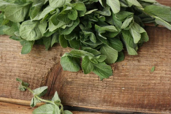 Fresh Green Mint Wooden Table — Stock Photo, Image