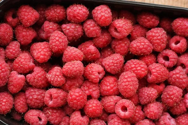 Leckere Reife Himbeeren Auf Dem Markt — Stockfoto