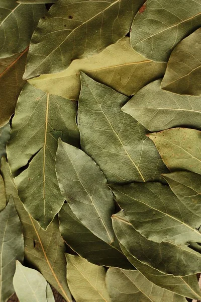 Green Bay Blad Tafel Macro — Stockfoto