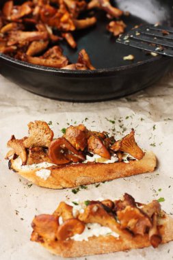 Chanterelles ve süzme peynirli macro. 