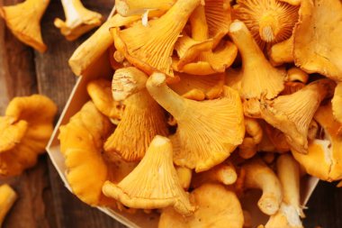 Ahşap bir masa üzerinde Chanterelle mantarları. 