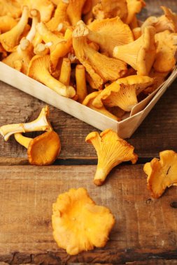 Ahşap bir masa üzerinde Chanterelle mantarları. 