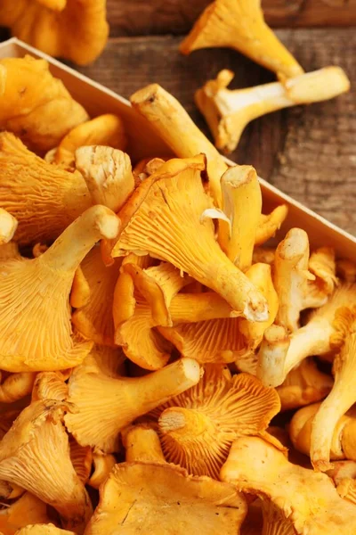 Chanterelle Champignons Een Houten Tafel Macro — Stockfoto