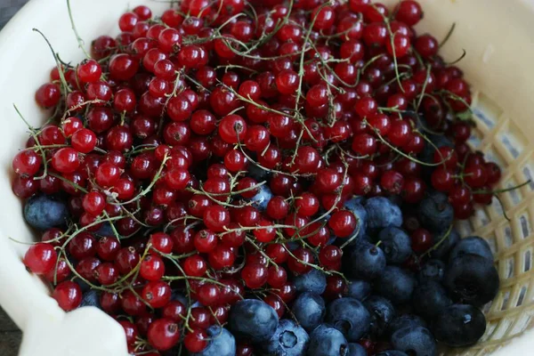 Frische Blaubeeren Und Rote Johannisbeeren Auf Dem Tisch — Stockfoto