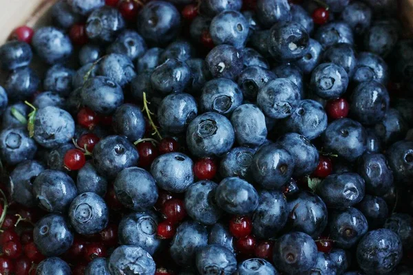 Taze yaban mersini ve kırmızı üzümler masada.