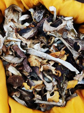 Sarı bir çantada kurumuş orman mantarları.