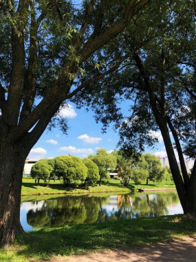 Park ve gölün güzel yaz manzarası