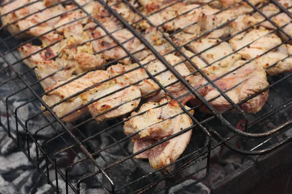 Kippenvlees Met Specerijen Een Barbecue — Stockfoto