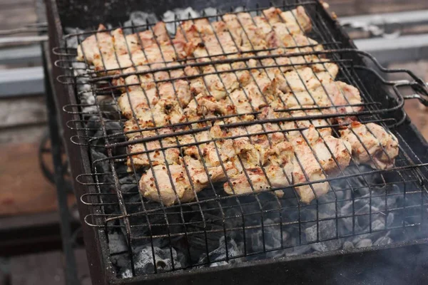 Kippenvlees Met Specerijen Een Barbecue — Stockfoto