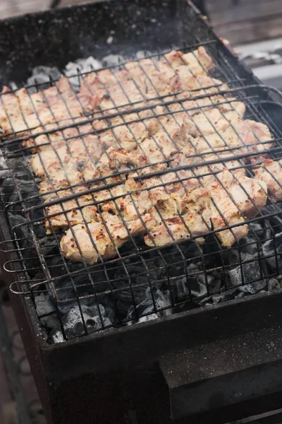 Kippenvlees Met Specerijen Een Barbecue — Stockfoto
