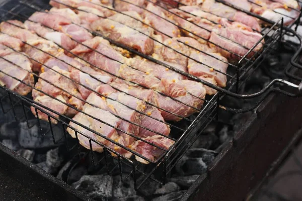 Varkensvlees Met Specerijen Een Barbecue — Stockfoto