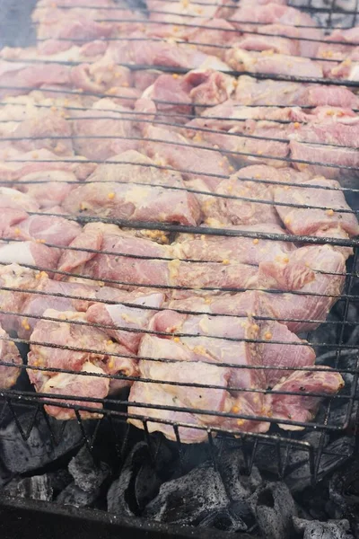Varkensvlees Met Specerijen Een Barbecue — Stockfoto