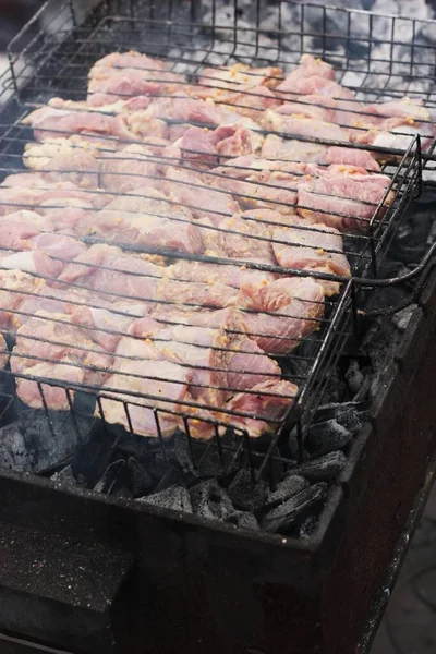 バーベキューグリルにスパイスと豚肉の肉 — ストック写真