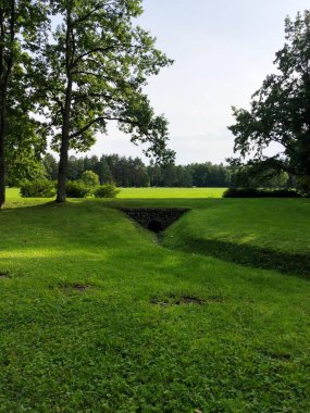 Yaz parkındaki güzel manzara ağaçları. 