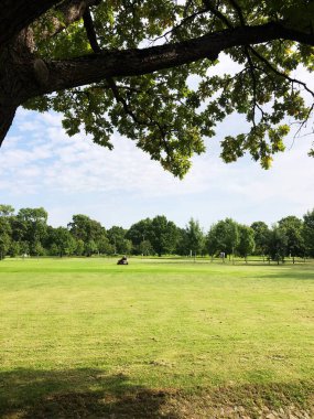 Çim biçme makinesindeki bir adam çimleri temizler.
