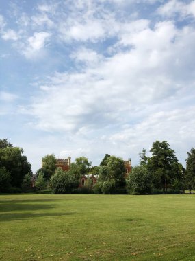 Yaz parkındaki güzel manzara ağaçları. 