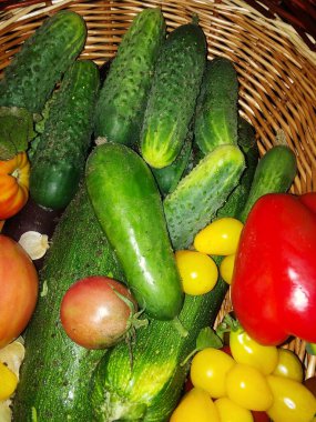 Taze sebzeler ve bitkiler masada.