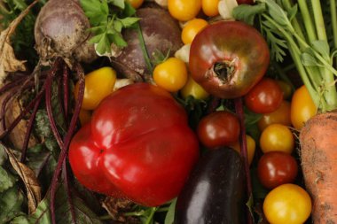 Taze sebzeler ve bitkiler masada. 