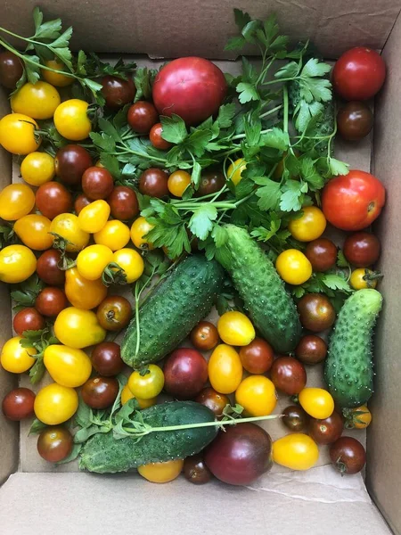 Friss Zöldségek Fűszernövények Asztalon — Stock Fotó